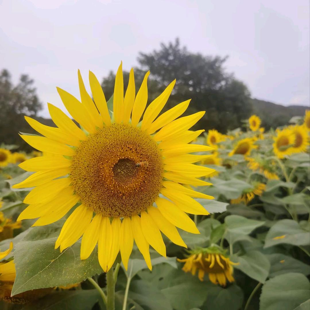 人间烟火