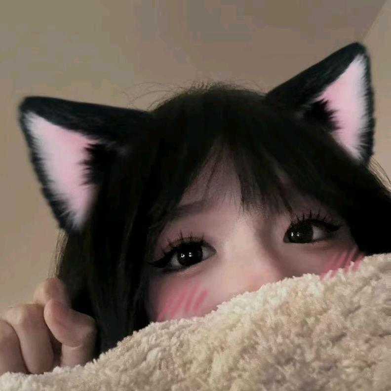鲸翎文化-小猫