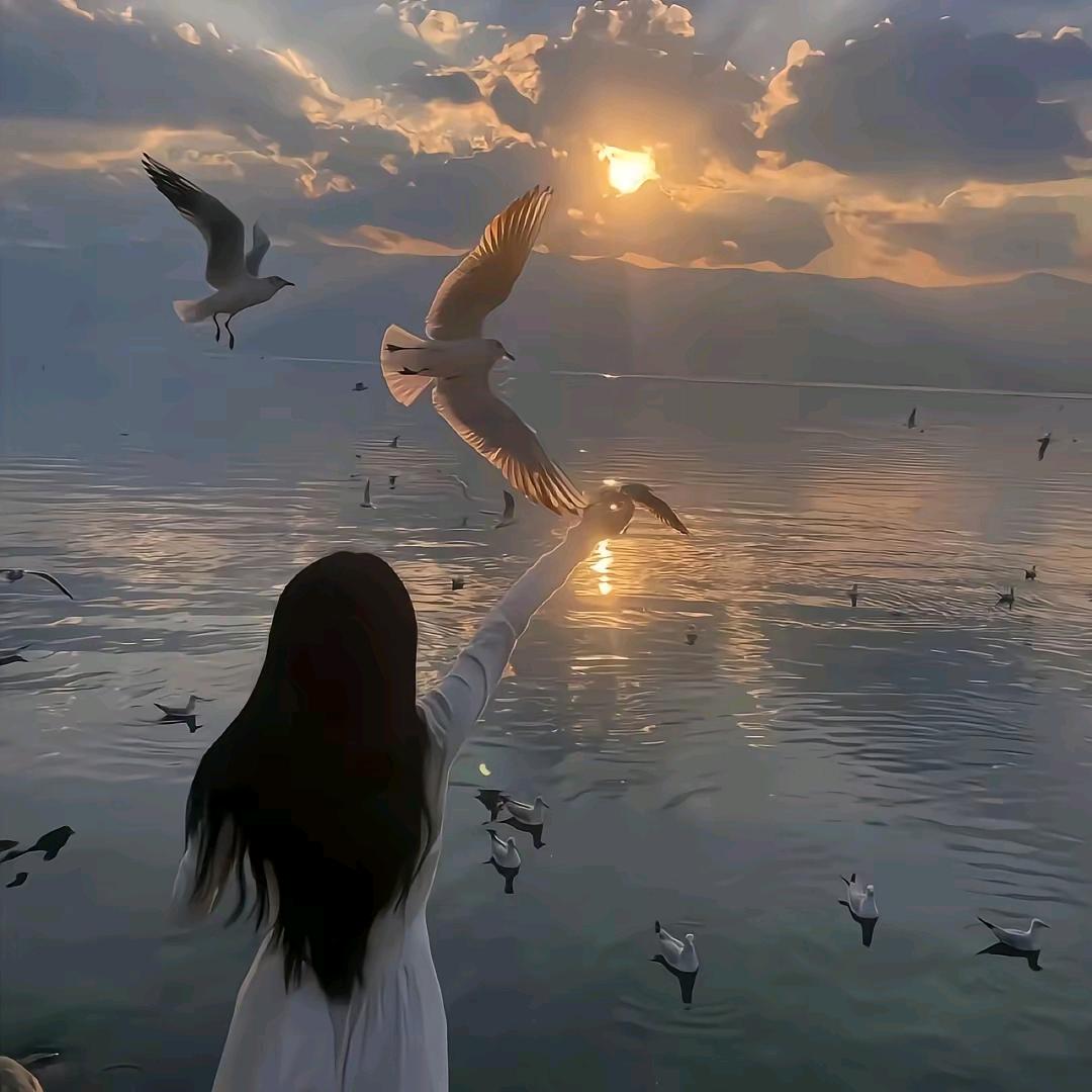 发呆鱼本🐟