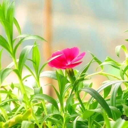 秀梅(˃ ⌑ ˂ഃ )