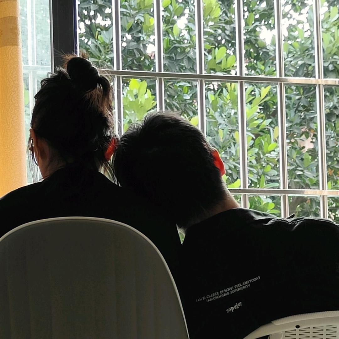 小杨的生活标本采集站