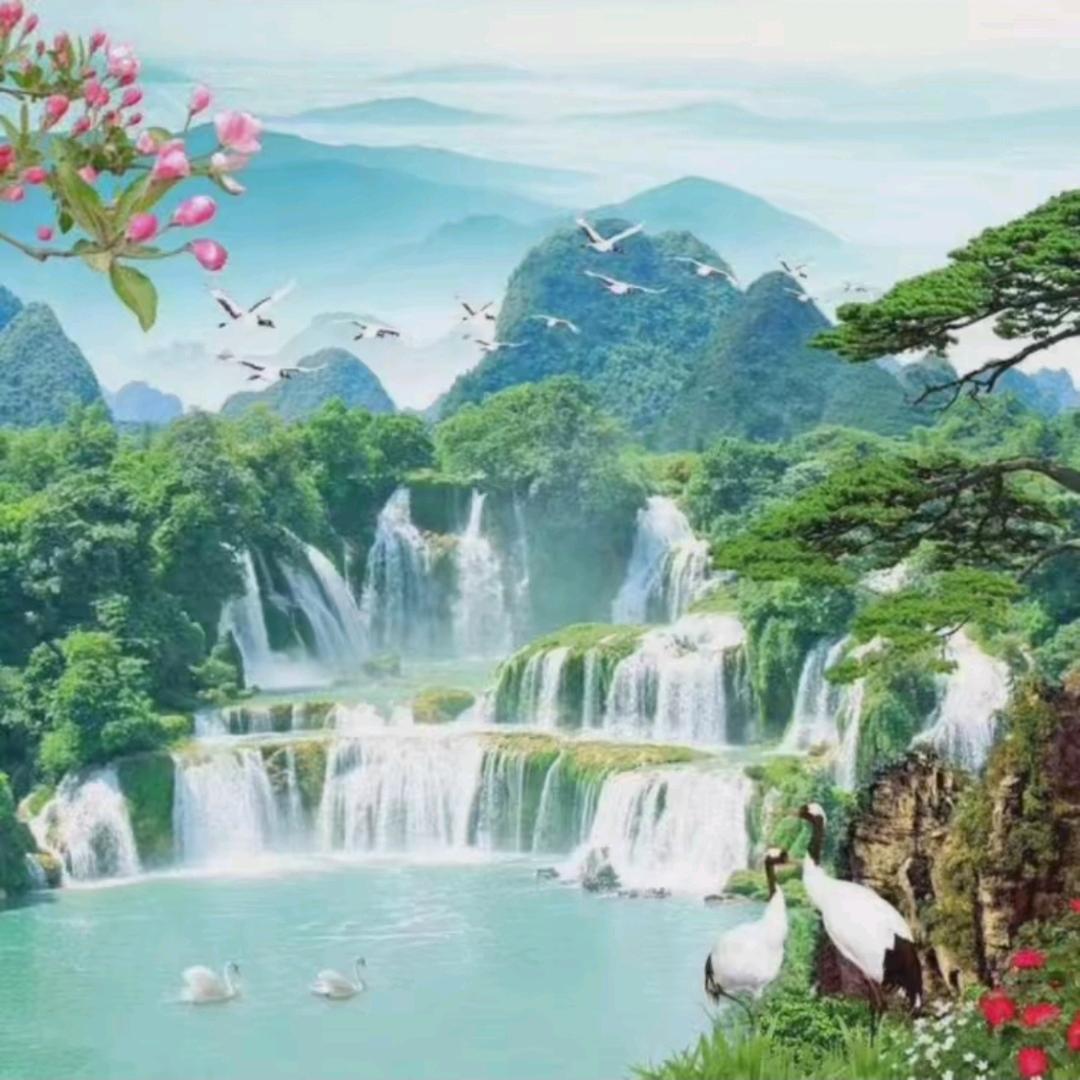 自由哥