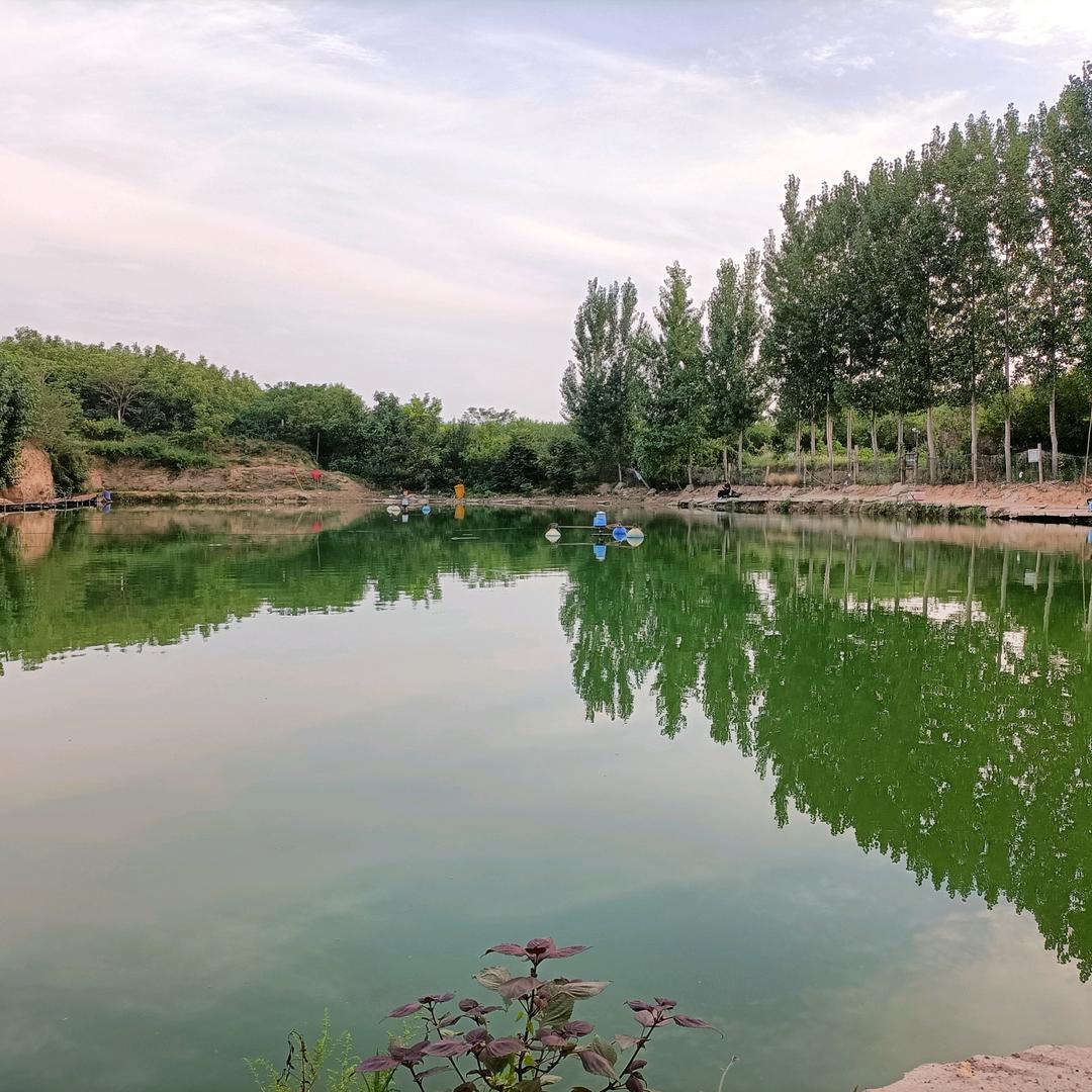 西尹大物池