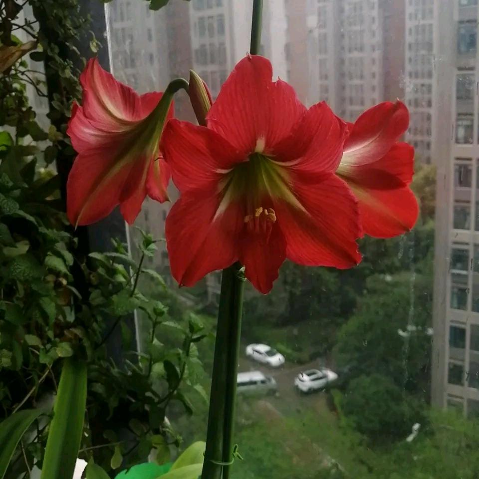 用户9209190571120平