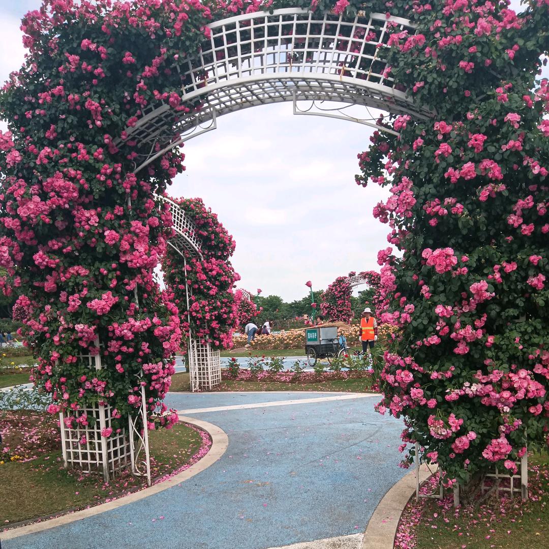 余生不将就💖💞