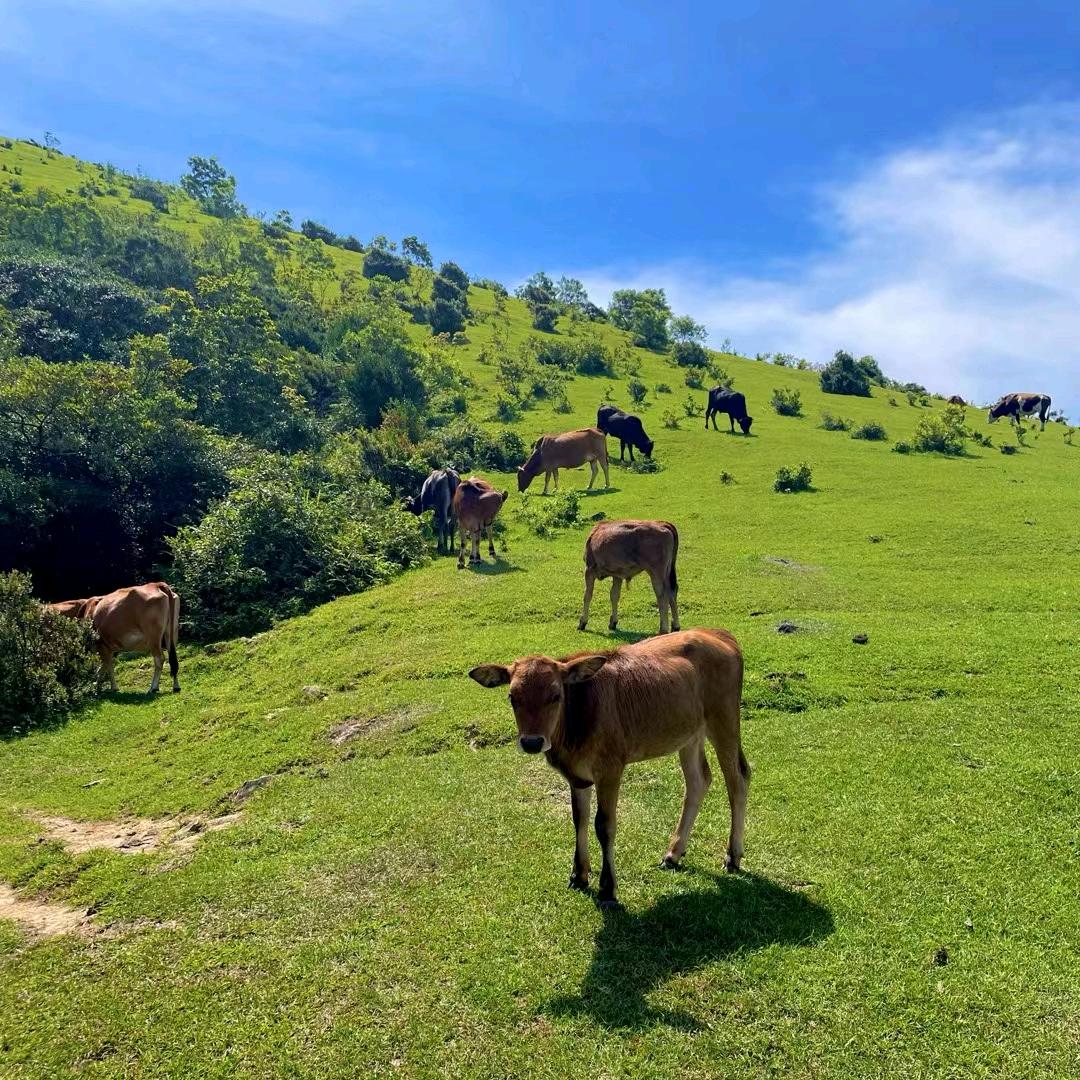波波爱生活优选