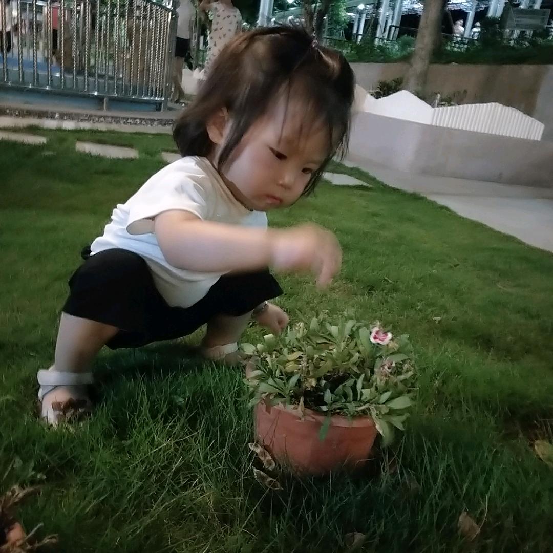 @燕子🙈