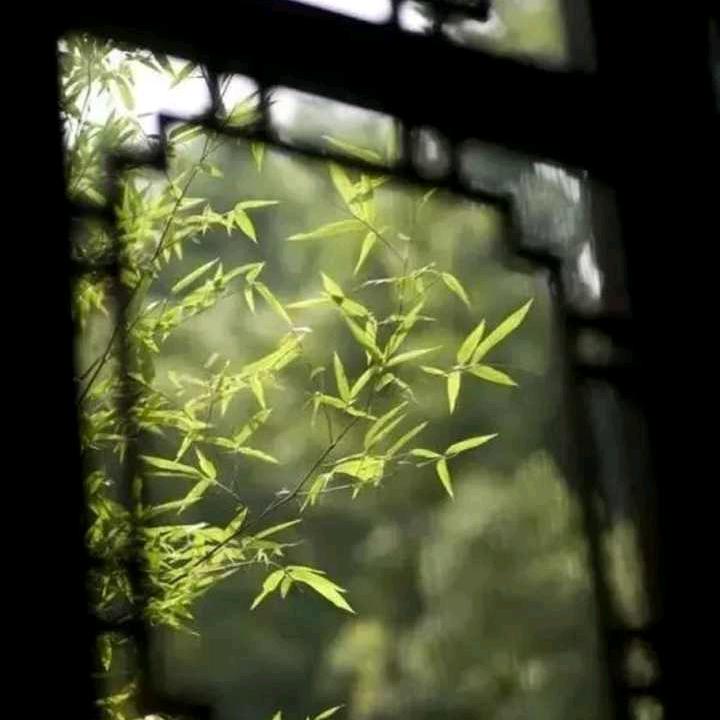 阳光里有你