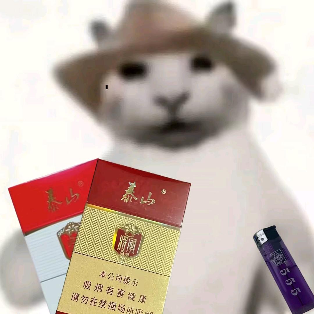 小张来了