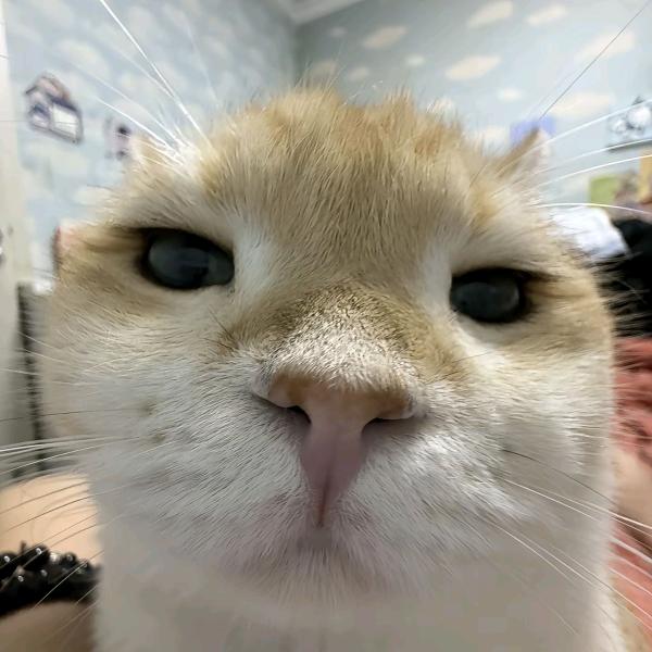 非常好吃