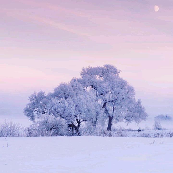小秦哥🌸🌸🌸