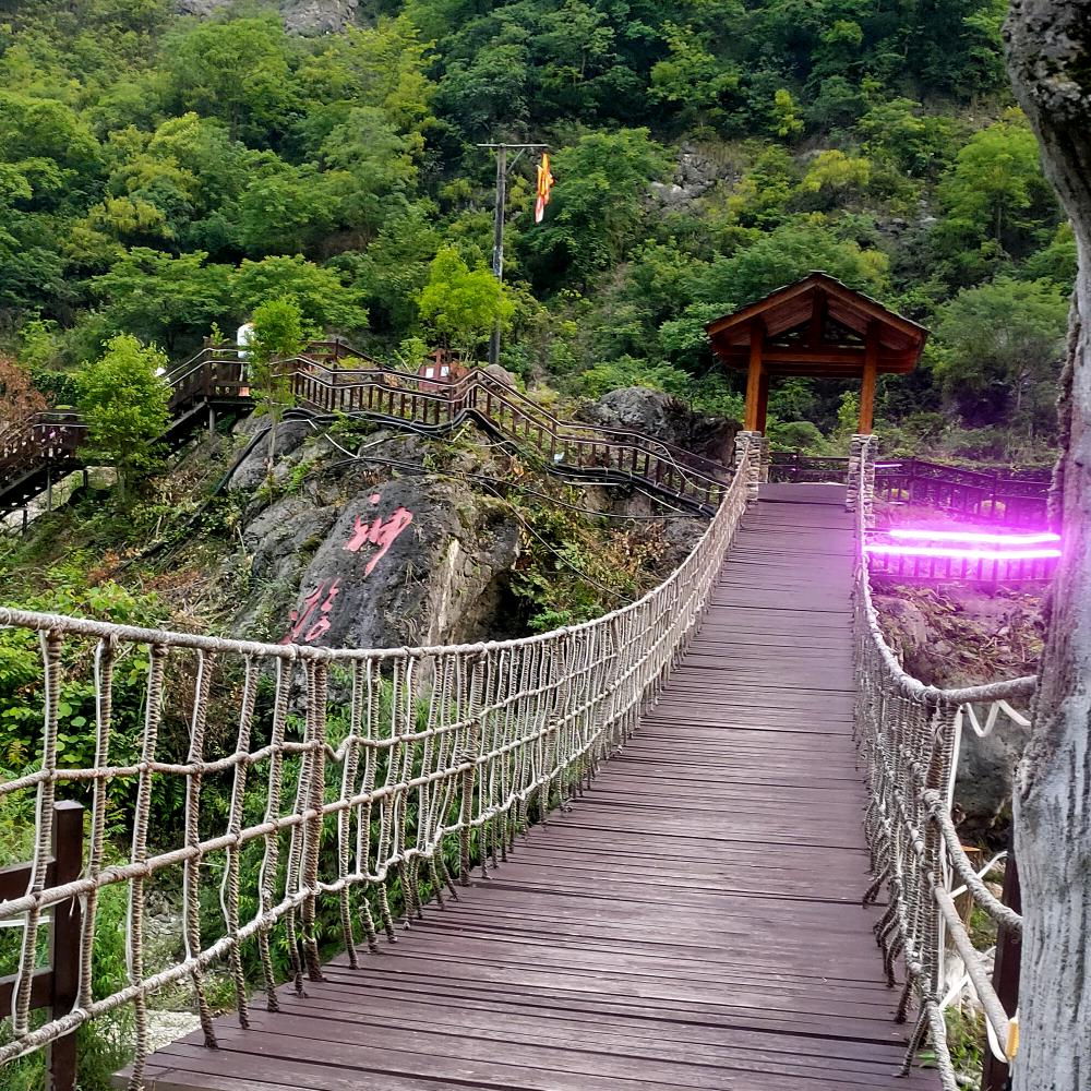 陌上(•̃͡ε•̃͡)秦烟🔥