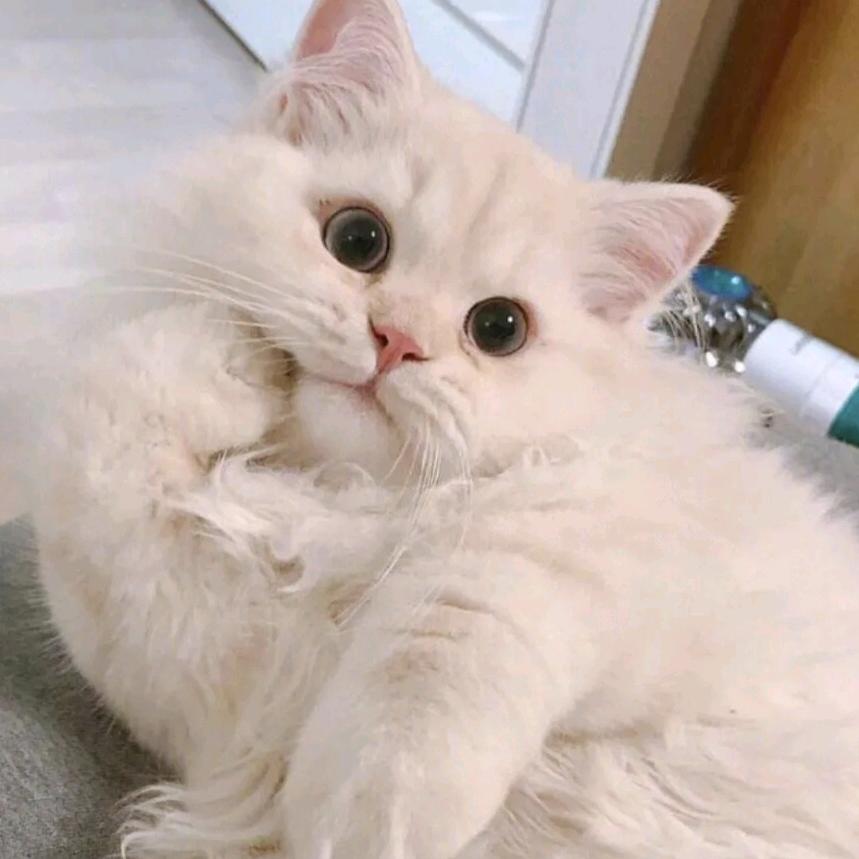 暖心