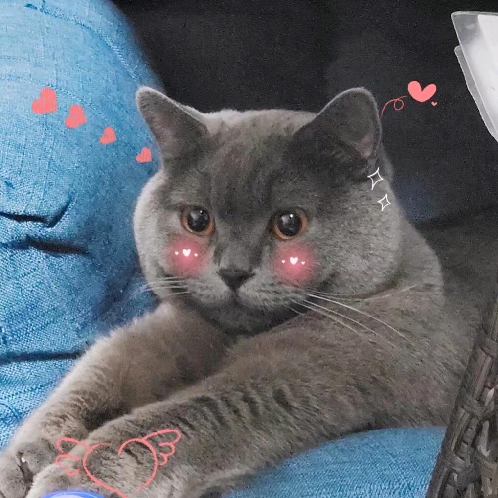 一伊酱的咪露库