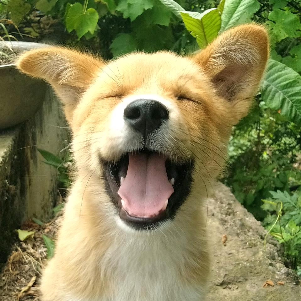 念佳^（小不点）