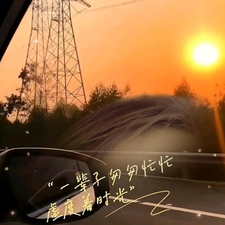 佰盈中药材商行