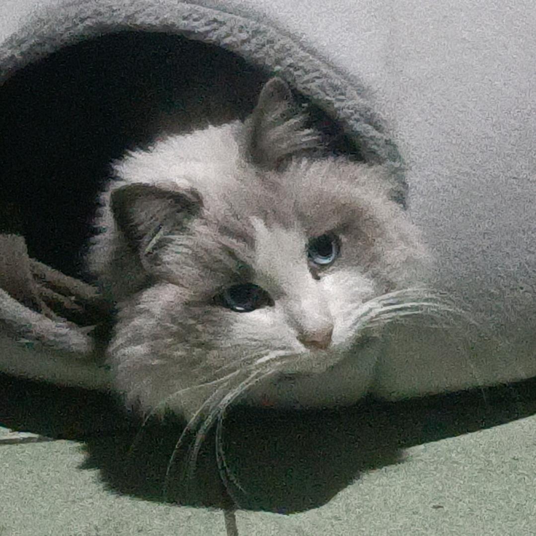 平平安安，幸福美满