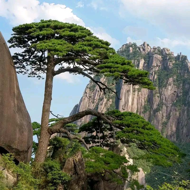 每天，六安龙潭，马店，下午返回六安