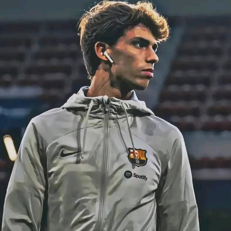 拉🔥纳尔🥰多🐾