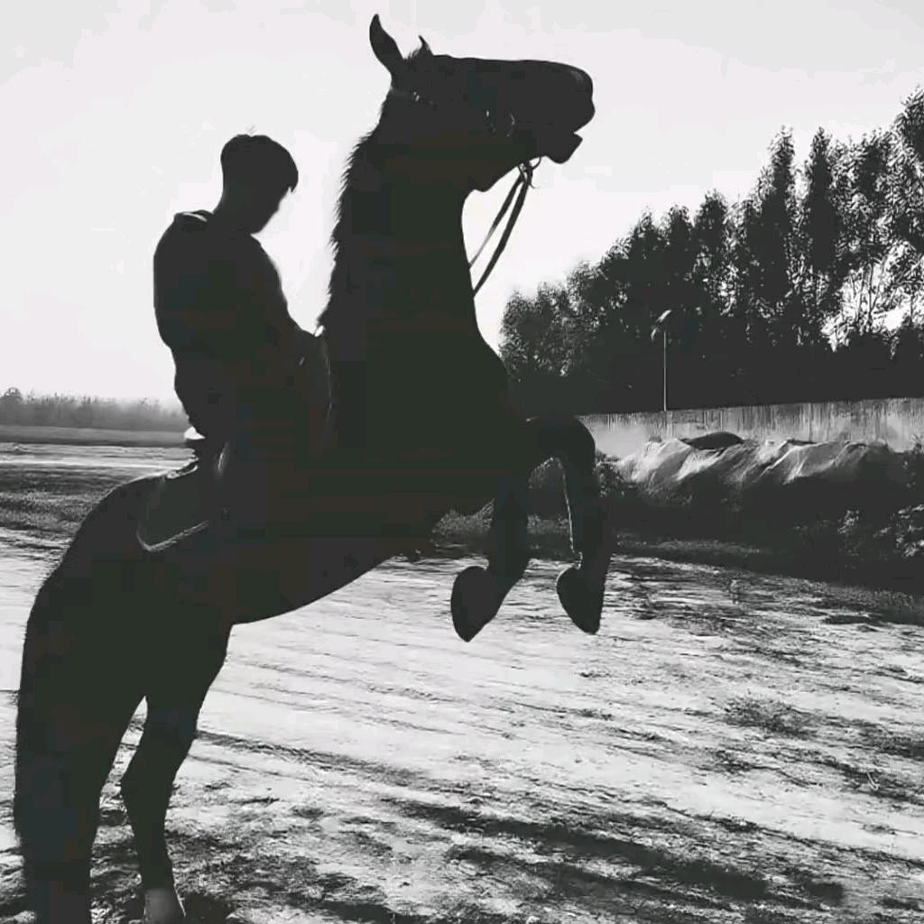 思绪那年情