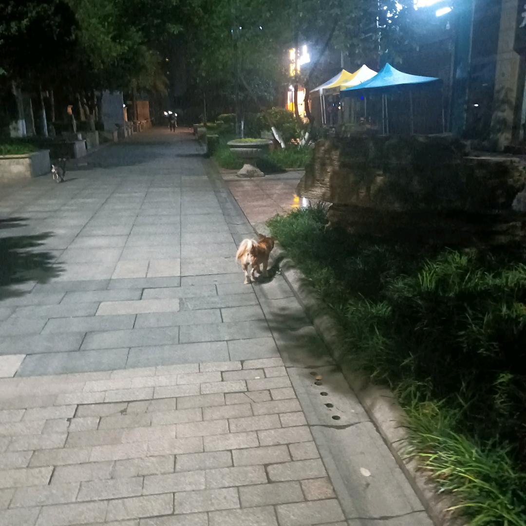 乌拉