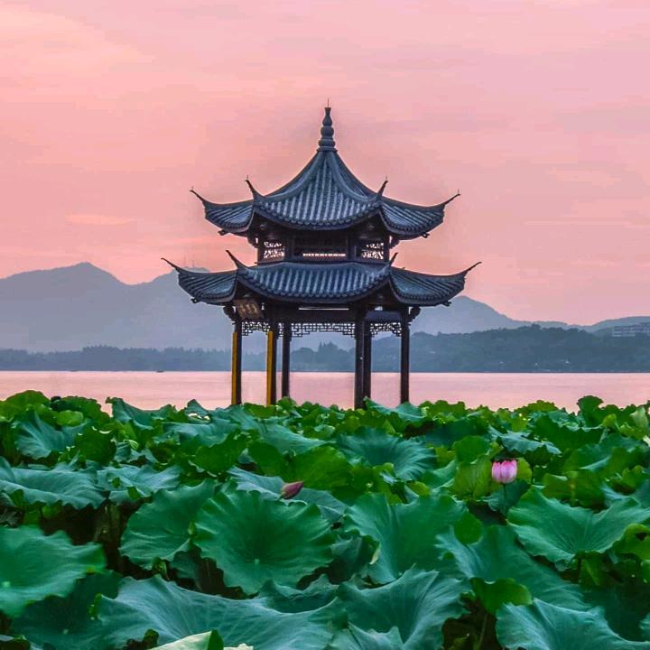 传承国学913