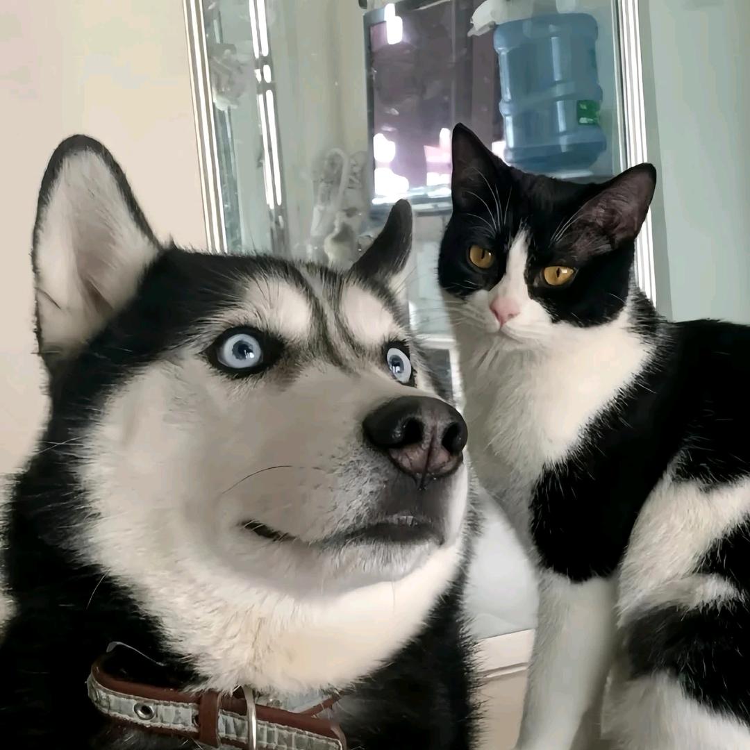 ***？