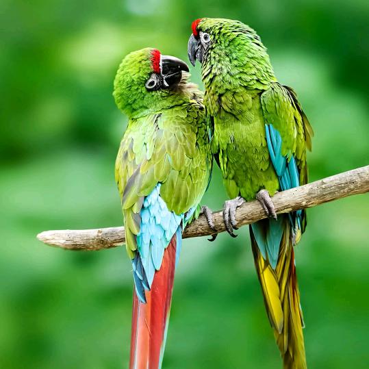 不能因为正事耽误钓鱼