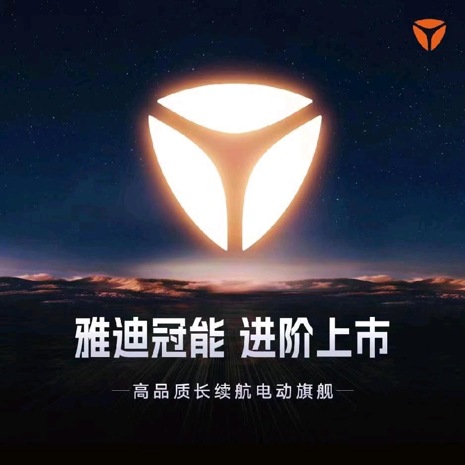雅迪