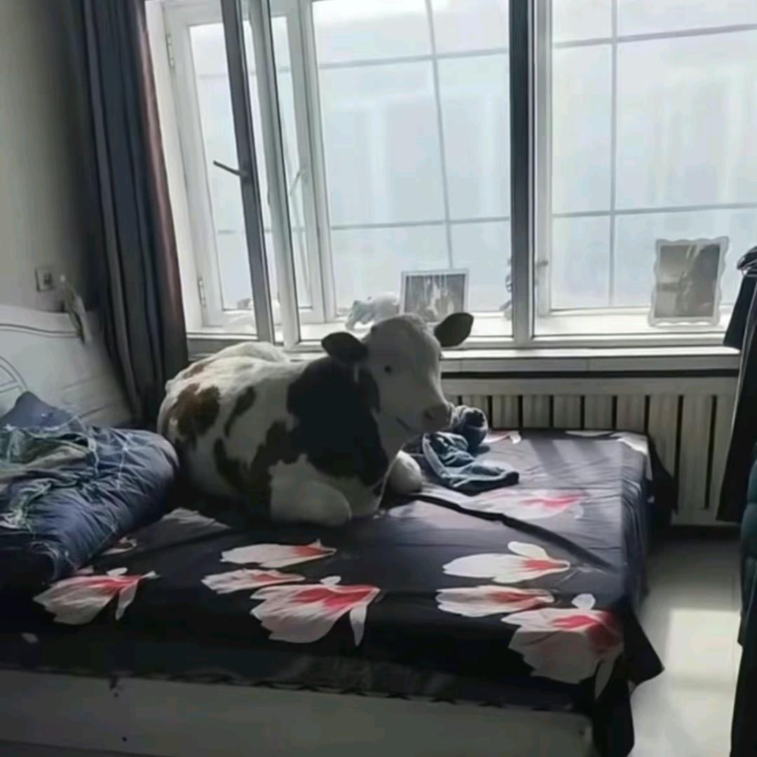 启航运业