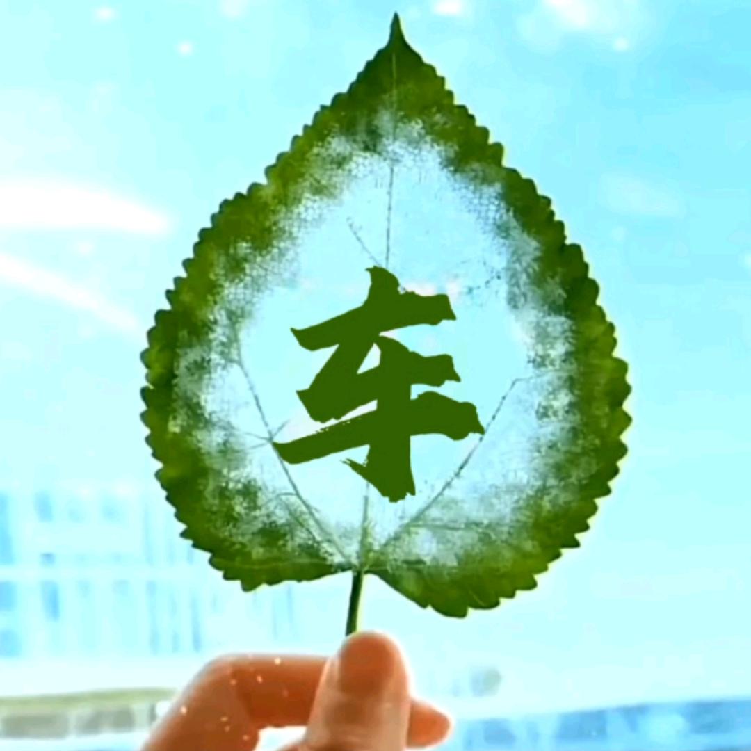 武平车