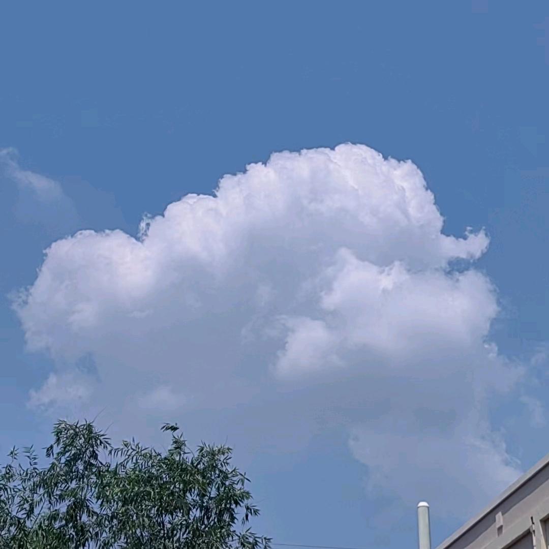 沐沐悦读