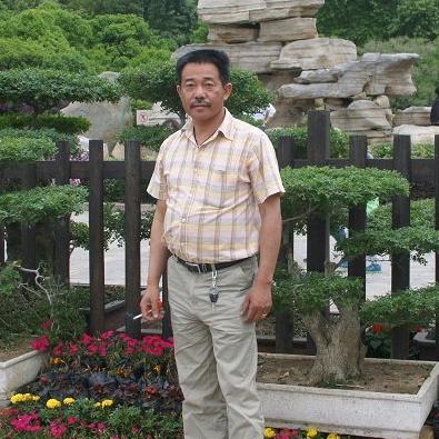 浠水孤狼（小号）