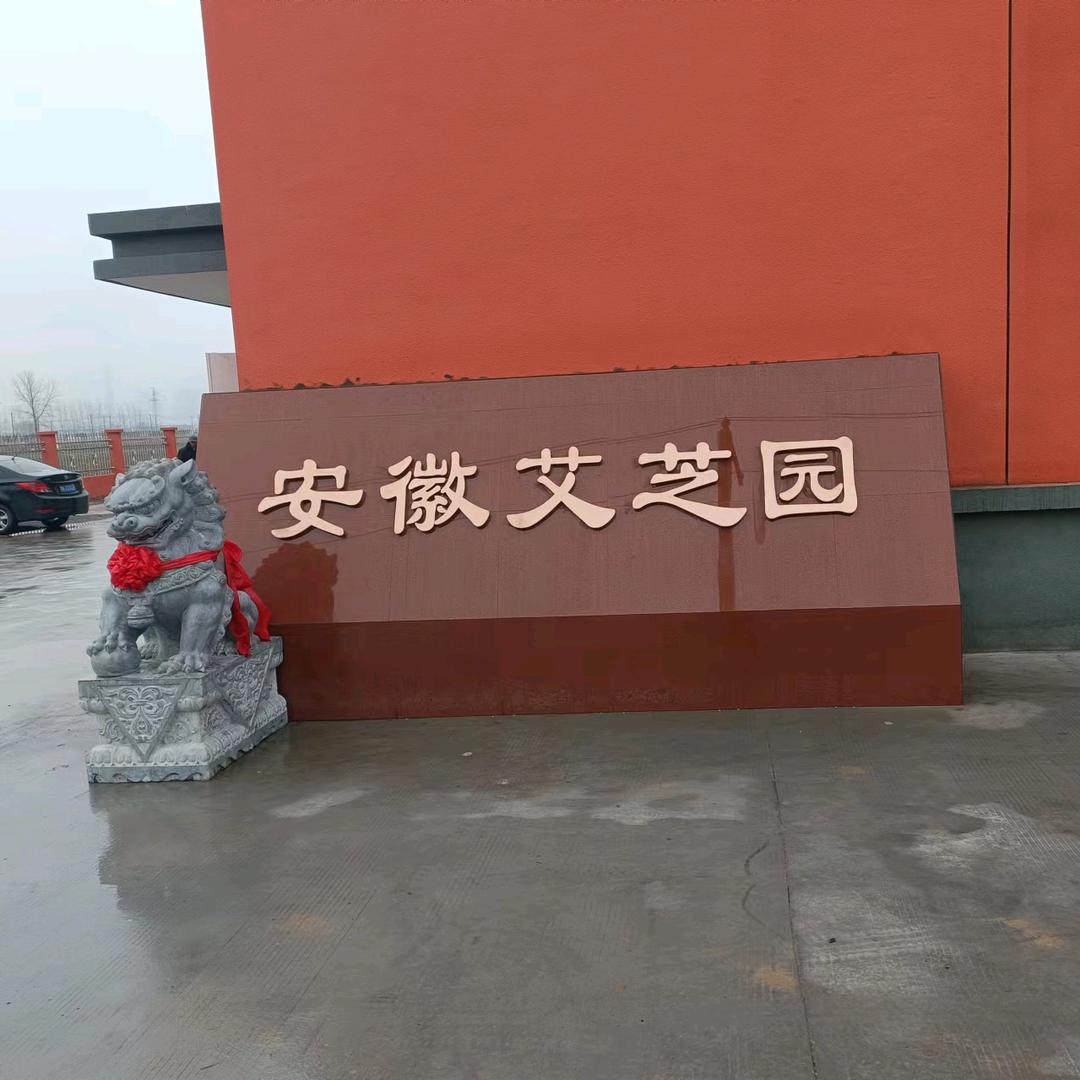 安徽艾芝园   转角遇见艾