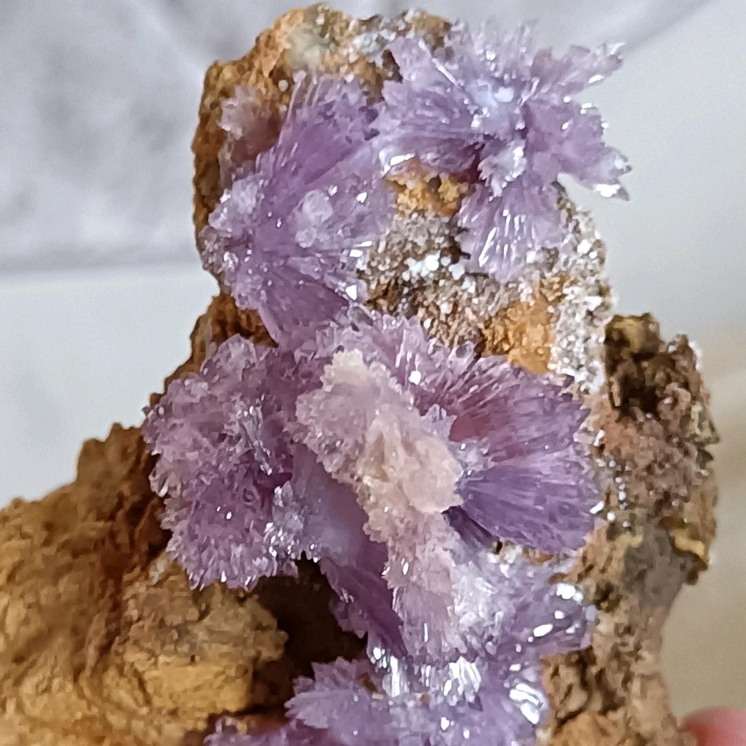 玉见你满心欢喜