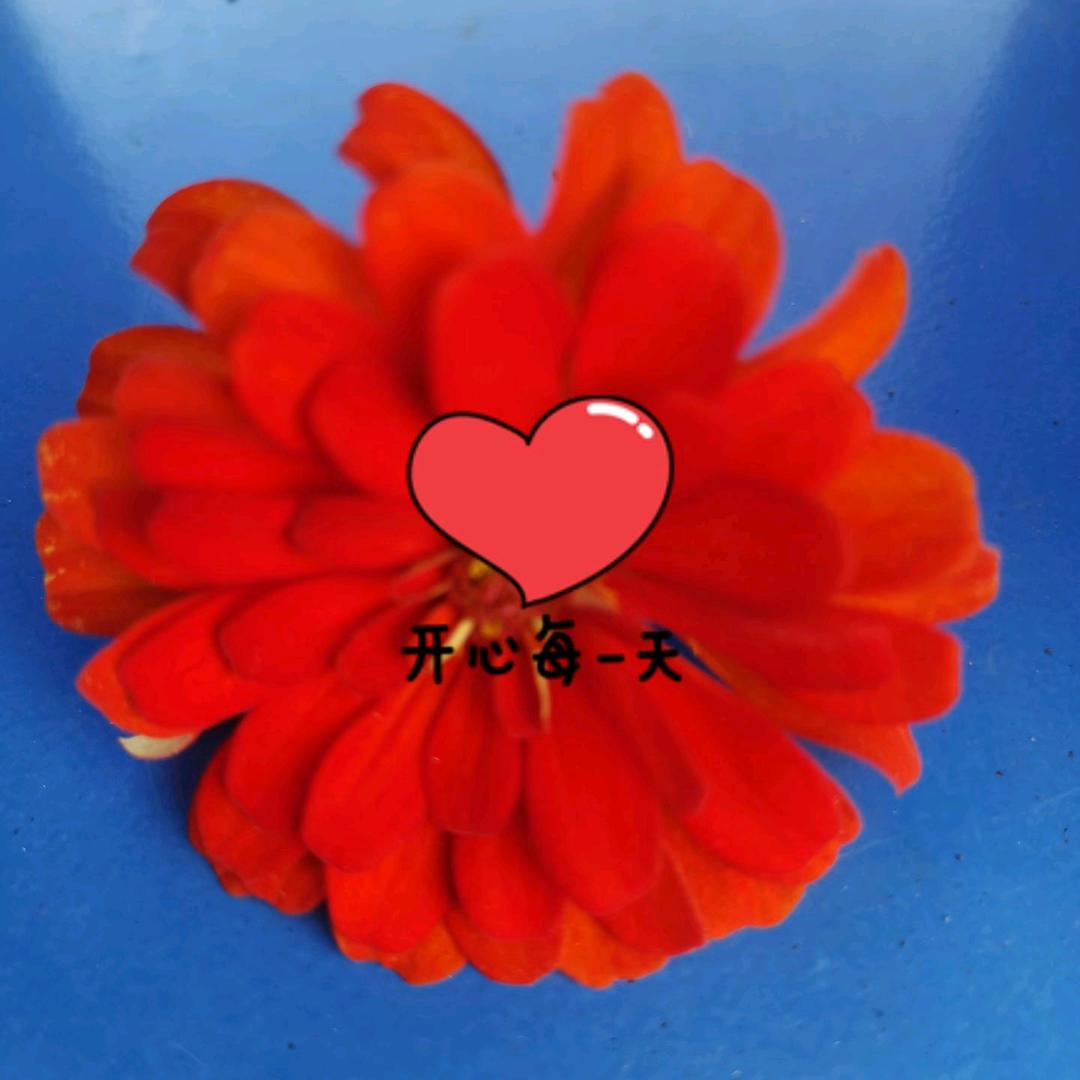 刘大姐