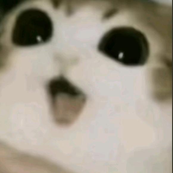 🍡♡·strawberry·♡🍓