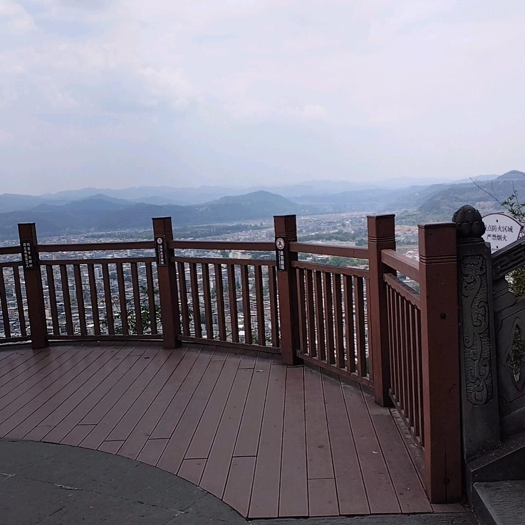 小白白