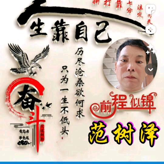 树泽