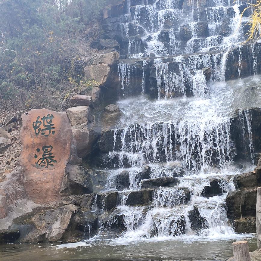 胡二妮