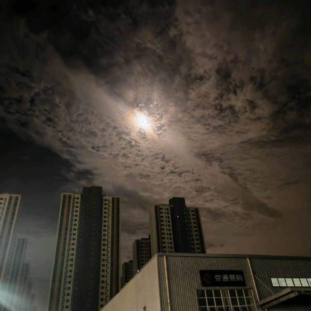 橘子不是唯一对水果