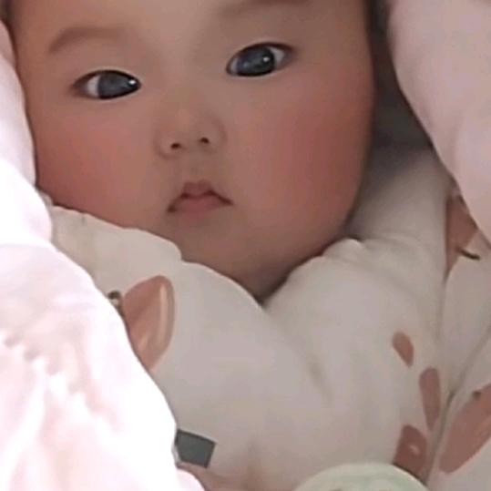 🥀抱着真心🌱换伤心🥀