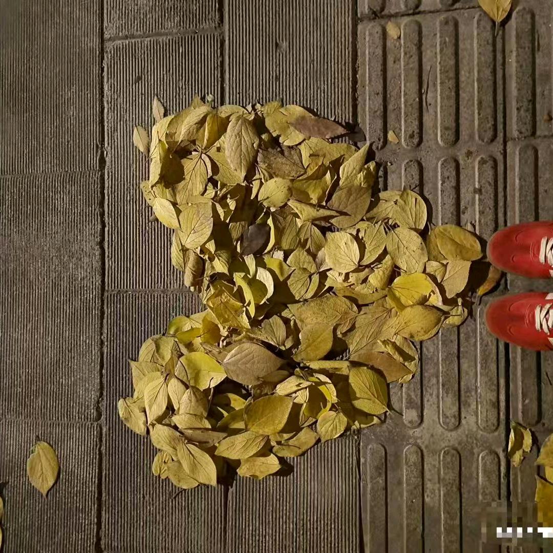 清风挽心