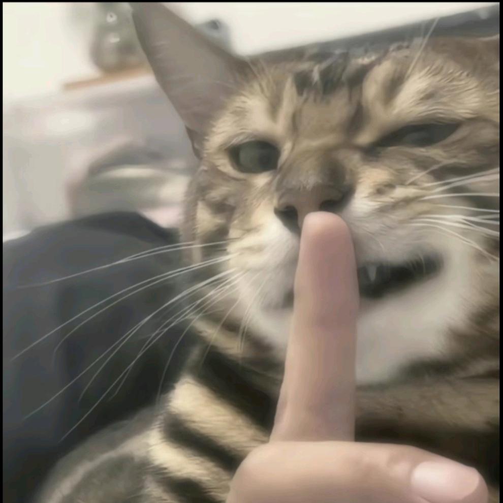 未来可期