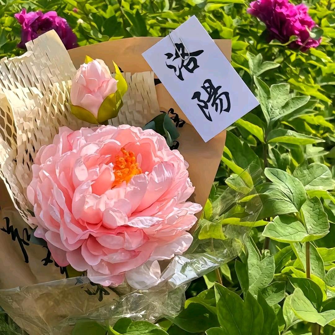 洛小花