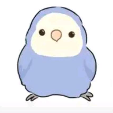 🦜芋圆