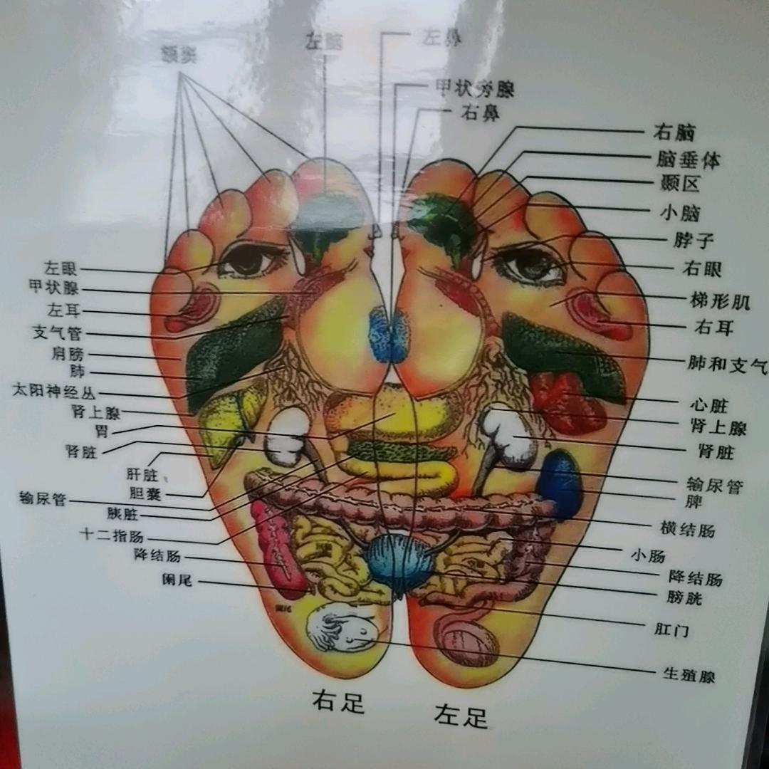 s约到家