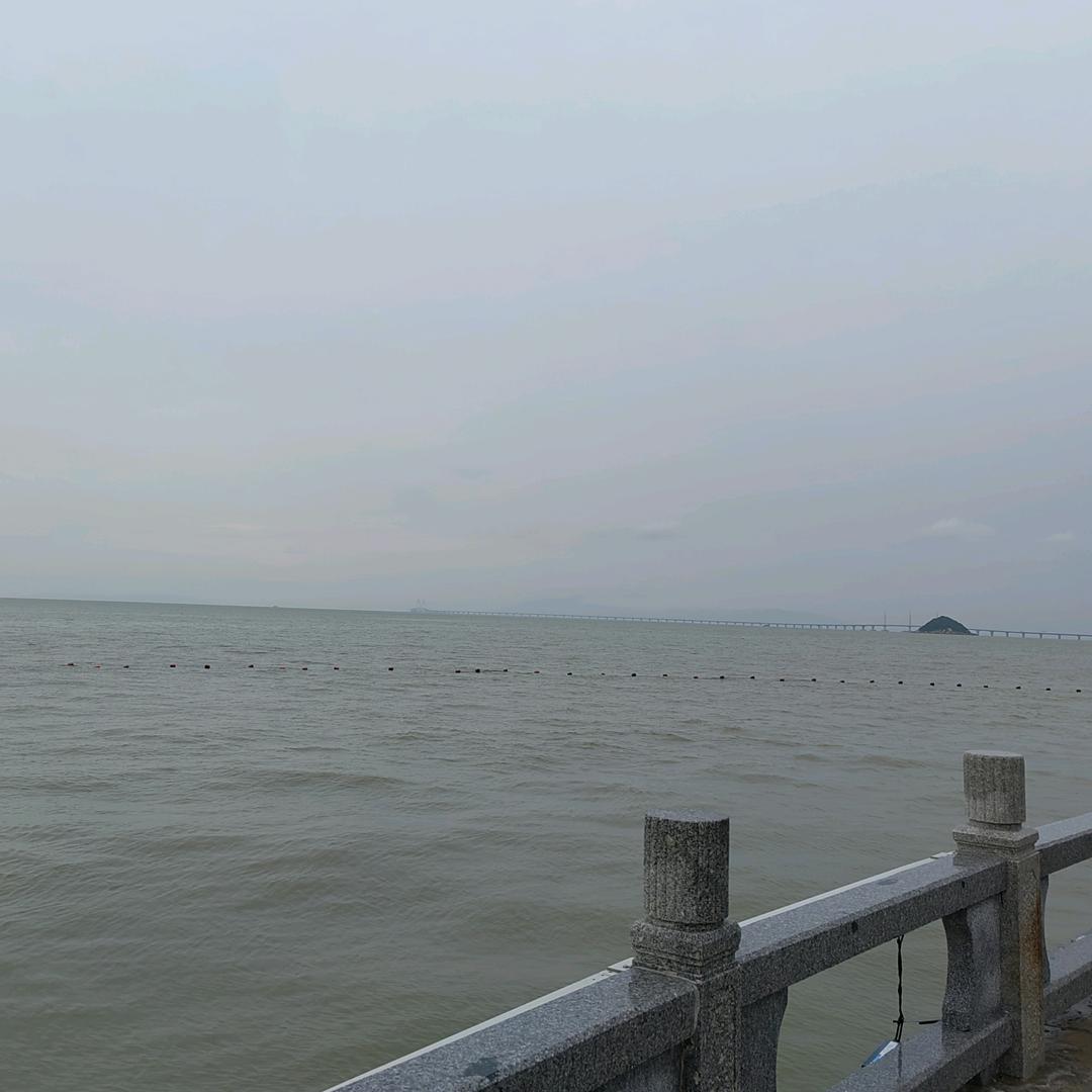 暖茶伴晚风