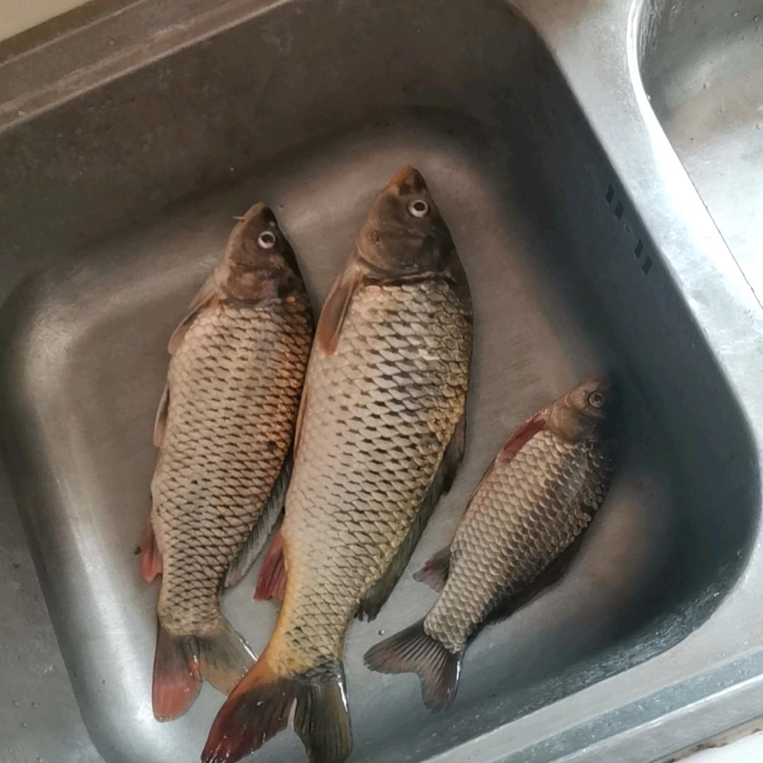 空白🎣