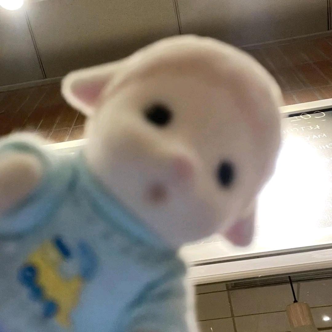 给我发把狂徒